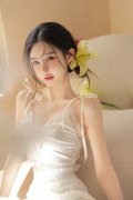 公司实现停业收入1032.68亿元